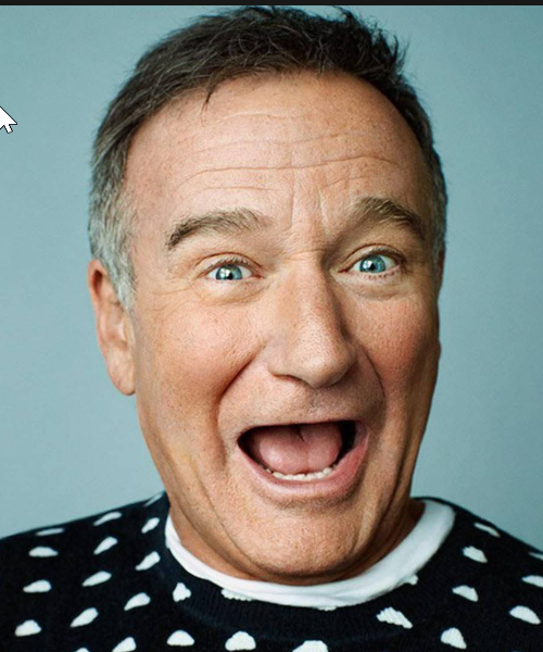 Comedian, Robin Williams